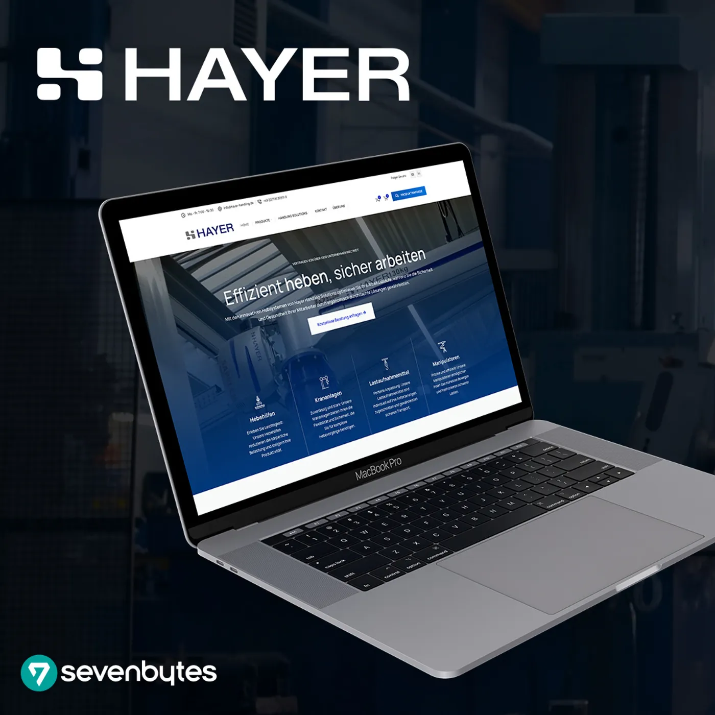 HAYER Website-Showcase, Motiv 1