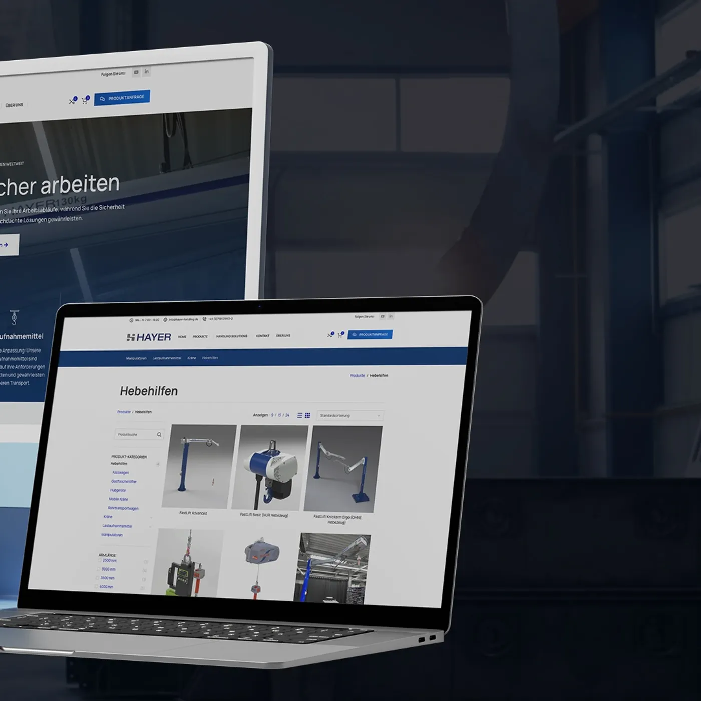 HAYER Website-Showcase, Motiv 3