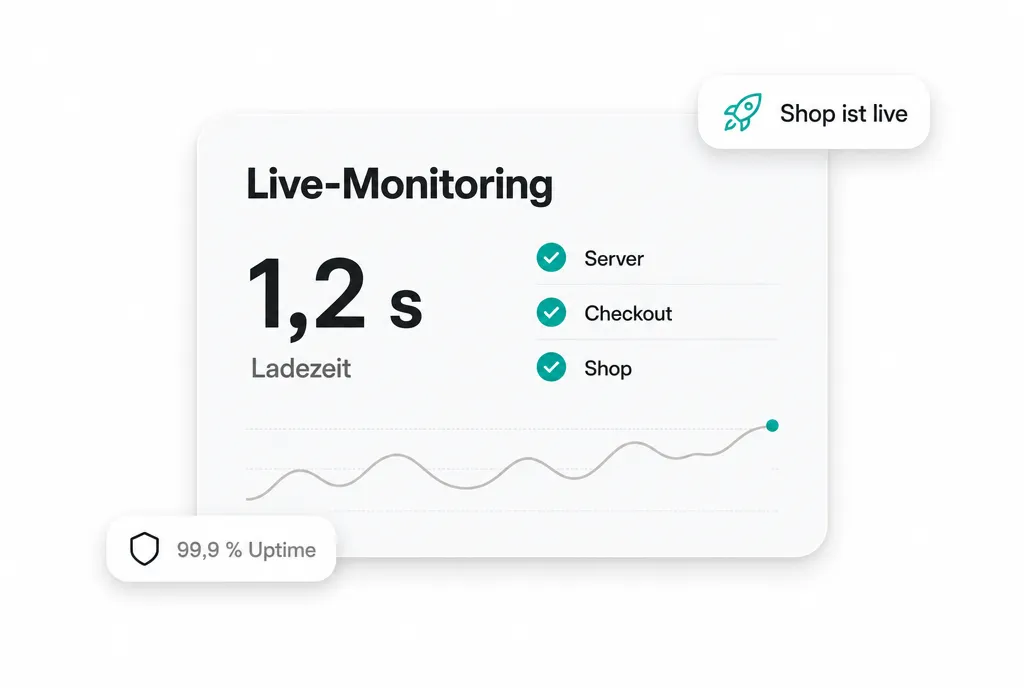 Go-Live & Performance-Monitoring