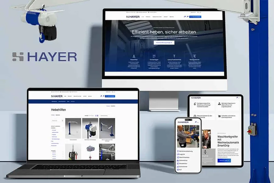 Website-Referenz Hayer Handling Solutions, Seven Bytes Media